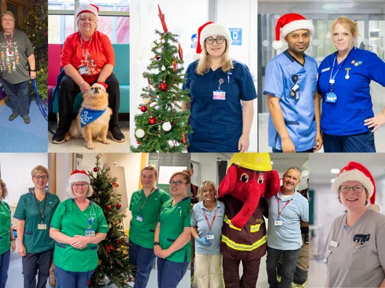 Staff and volunteers